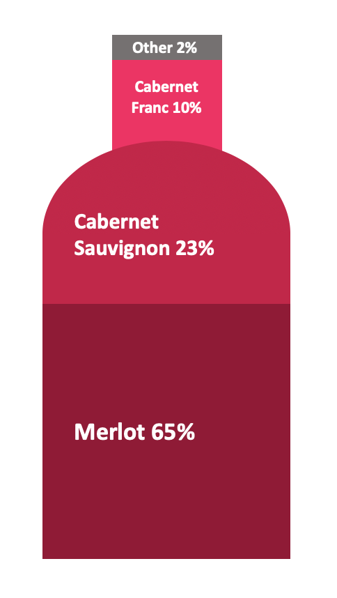 Red grape varieties in Bordeaux